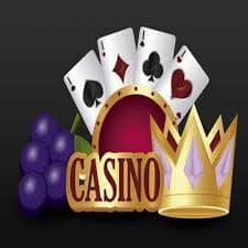 comtoto login live dealer studio with multiple camera angles and professional dealers